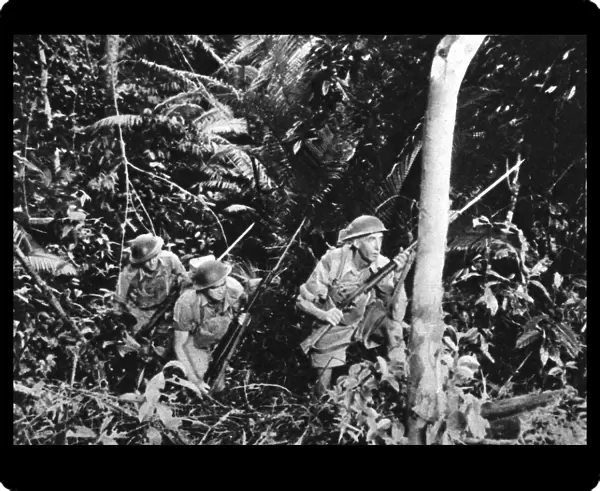 Australian troops train in Malaya