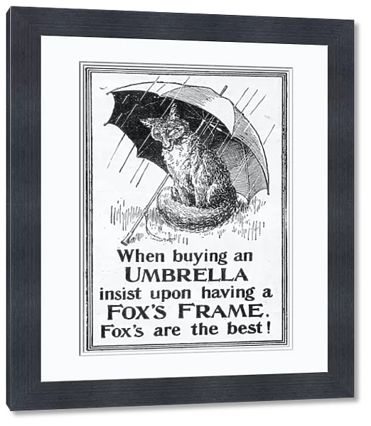 Advert for Foxs umbrellas