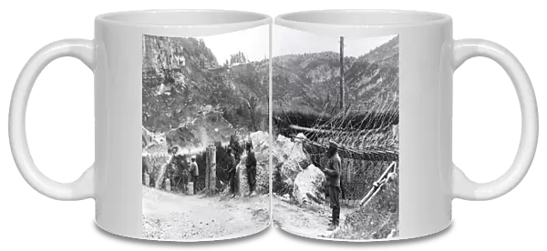 Barbed wire at Torzburg Pass, Romania, WW1