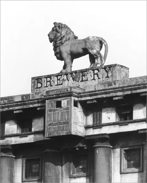 Lion Brewery Sign
