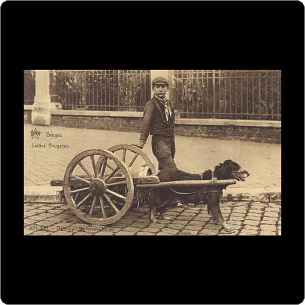 Young boy with his dog cart - Bruges, Belgium