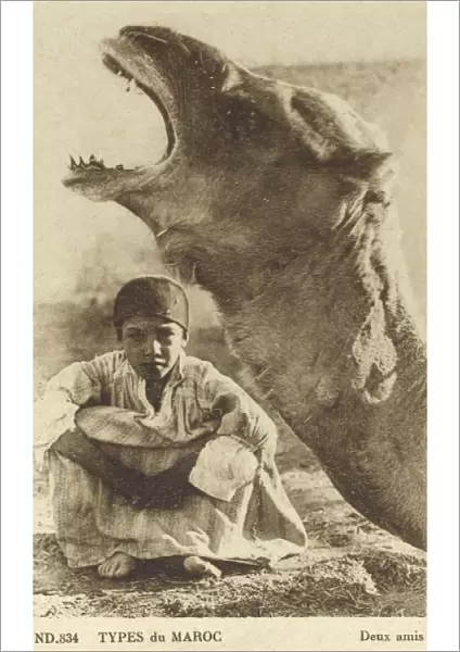 Camel and Young Moroccan Boy - Two Friends