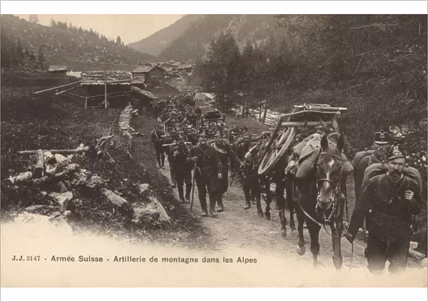 Swiss army in the Alps