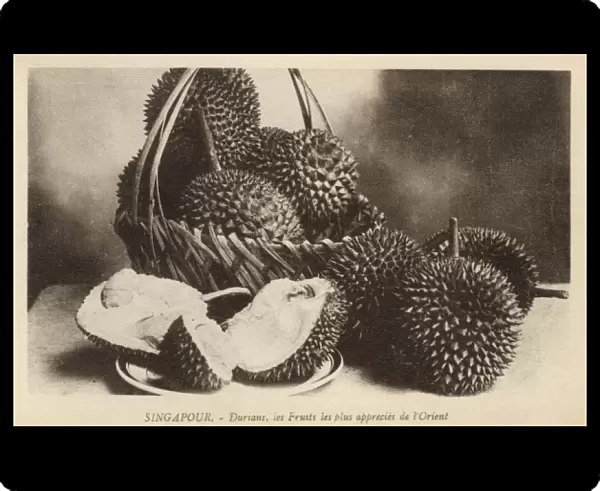 Durian fruit from Singapore