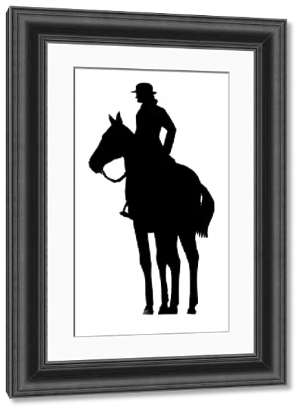 Silhouette of horse and rider