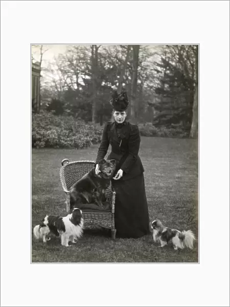 Queen Alexandra and dogs
