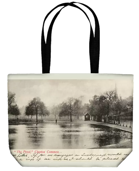 The Pond on Clapton Common, London