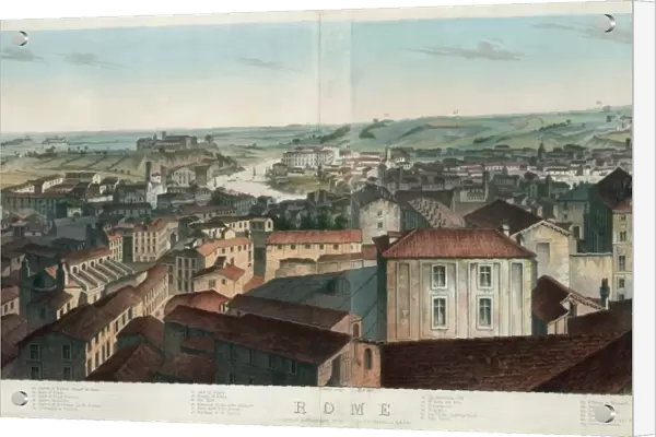 View of Rome, including the Villa Meolistrees, Sa. Maria dei