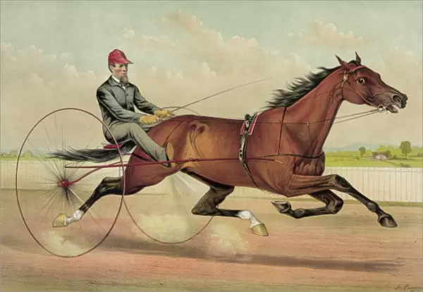 The grand trotter Clingstone, driven by G. H. Saunders: by Ry