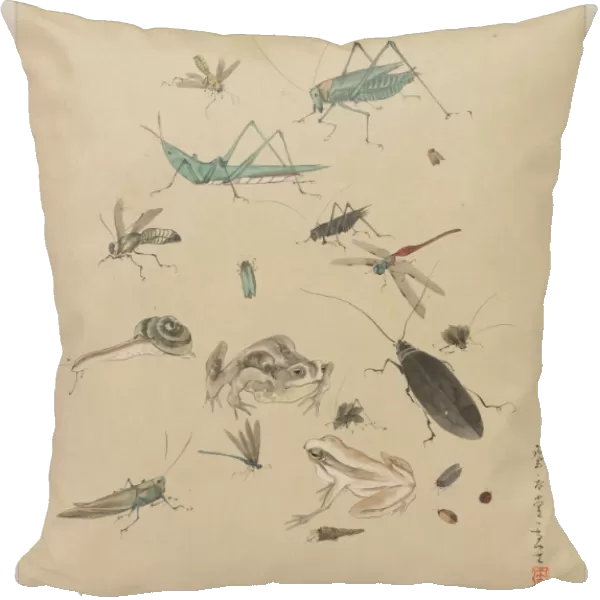 Frogs, snails, and insects, including grasshoppers, beetles