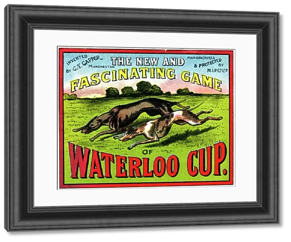 Waterloo Cup game