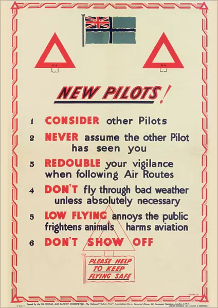 National Air Safety Committee Poster