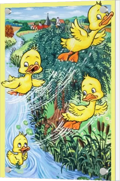 Duck and flying ducklings