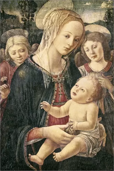 Lippi, Fra Filippino (1406-1469). Virgin and
