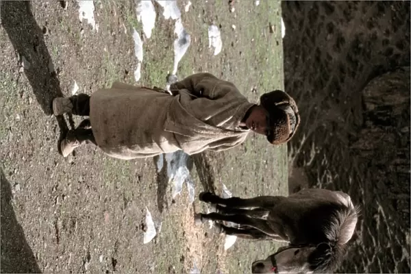 Tibetan horse minder