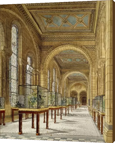 Watercolour drawing of the Natural History Museum, London