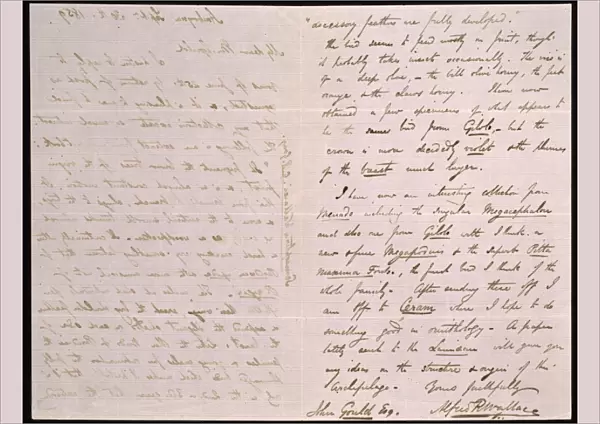 Letter from Wallace to Gould