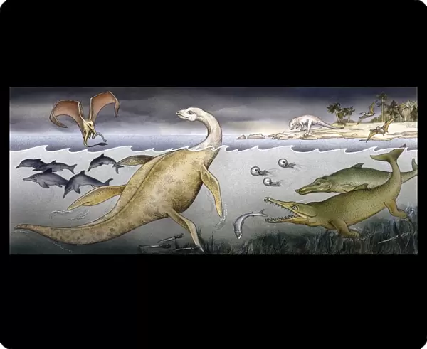 Ichthyosaurus, Rhamphorhynchus, Plesiosaurus, Megalosaurus