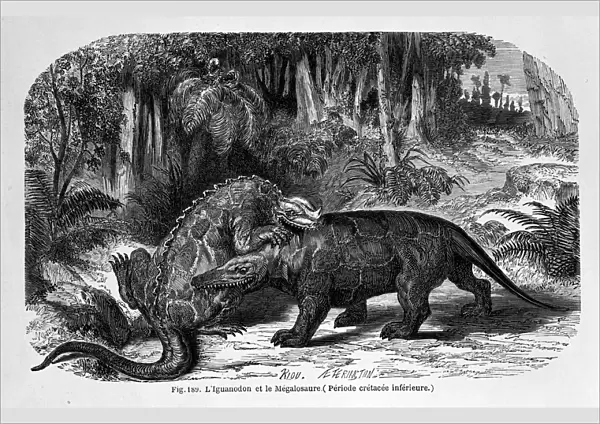 Iguanodon & Megalosaurus