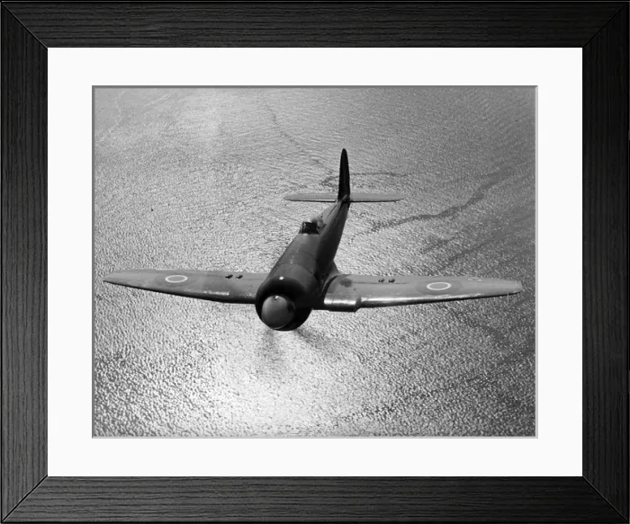 Framed Print : Hawker Sea Fury X Print Framed Print : Hawker Sea Fury X Print