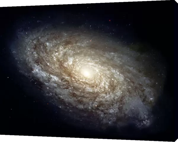 Magnificant Details in a Dusty Spiral Galaxy