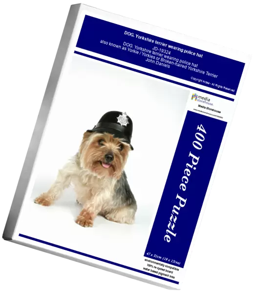 DOG. Yorkshire terrier wearing police hat
