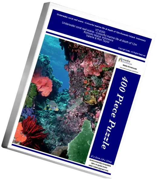 Underwater coral reef scene - Colourful marine life at depth of 12m Komodo Island. Indonesia