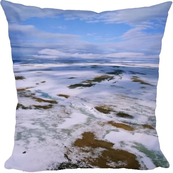 Russia Arctic tundra, melting snows, tundra of Taimyr peninsula near Kara Sea