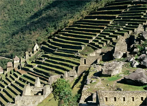 Peru Agriculture terraces, Machu Picchu