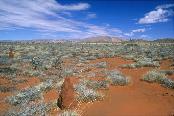 Australia - Mt Liebig Haasts Bluff Aboriginal Territory (Reserve), Northern Territory, Australia