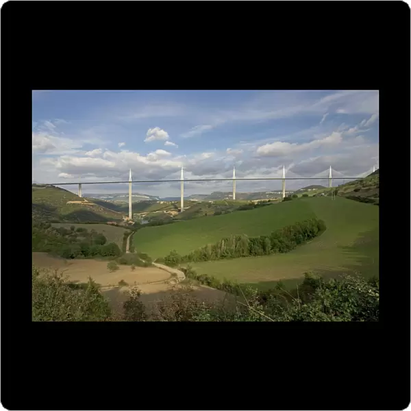 Millau viaduct spanning the Tarn Gorge, southern France. At 336 metres the cable-stayed Viaduc de Millau is the highest bridge in the world and 2. 5 kms long