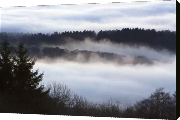 Fog - over Meissner Hills Meissner nature park, north Hessen, Germany