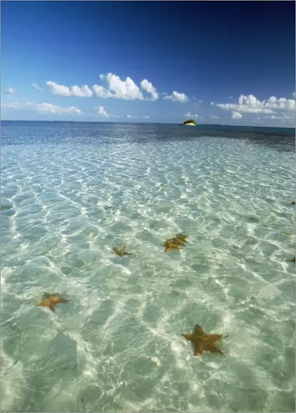 Los Roques - Archipelago of Venezuela, view of ocean & Starfish. Marine National Park, Caribbean sea