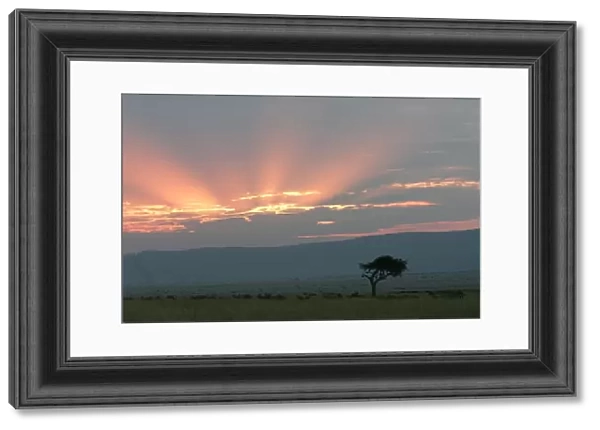 Kenya - Sunset over Maasai Mara National Park, Africa