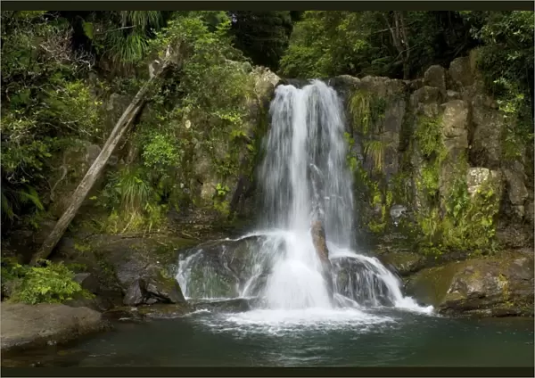 Waiau Falls water cascading down Waiau Falls which are located amidst lush temperate rainforest along the 309 road Coromandel Peninsula, North Island, New Zealand