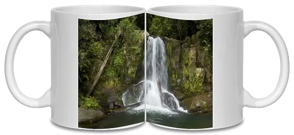 Waiau Falls water cascading down Waiau Falls which are located amidst lush temperate rainforest along the 309 road Coromandel Peninsula, North Island, New Zealand