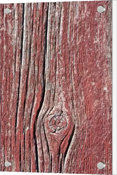 Close-up of plank of wood with knot. Ponderosa Ranch - Seneca - Oregon - USA