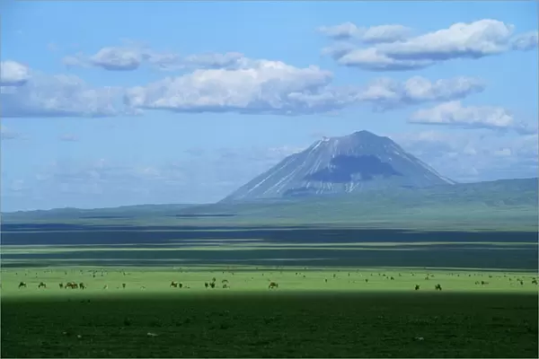 Ol Doinyo Lengai - Volcano Sacred to Massai & Wildebeeste Rift Valley - Ngorongoro Conservation Area - Tanzania JFL11640