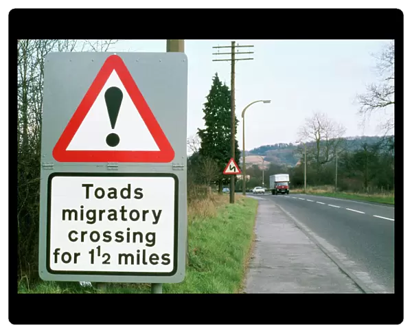 Toad - crossing sign
