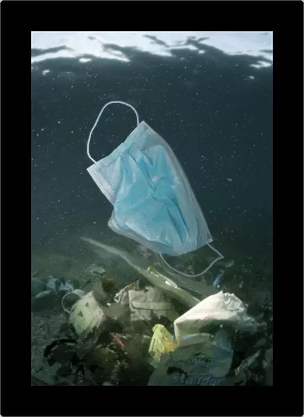 13132603. Used surgical mask used adrift at sea, along with other plastic waste