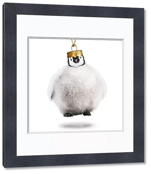 13132700. Emperor Penguin, Christmas bauble Date