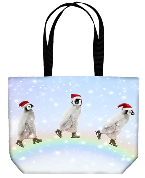 Emperor Penguins, three chicks ice skating over a rainbow
