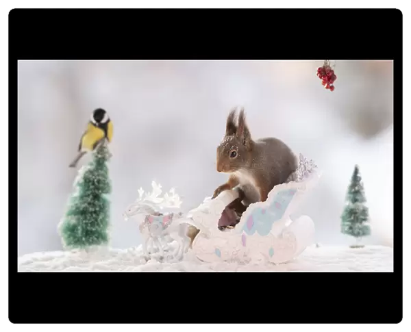 Red squirrel standing on a sledge with reindeer and great tit