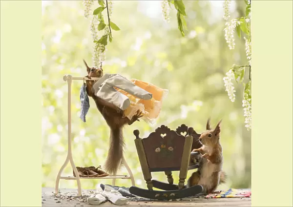 Red Squirrels with bed and a Clothes rack