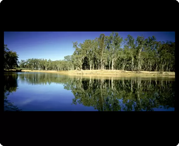 Murray River - near Barmah, Victoria, Australia JLR07720