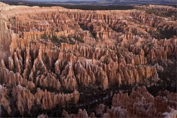 Bryce Canyon, general view from Bryce Point at dawn