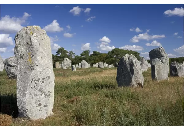 Megalithic aignements de Kermario, prehistoric standing stones or menhirs Carnac, Brittany, France