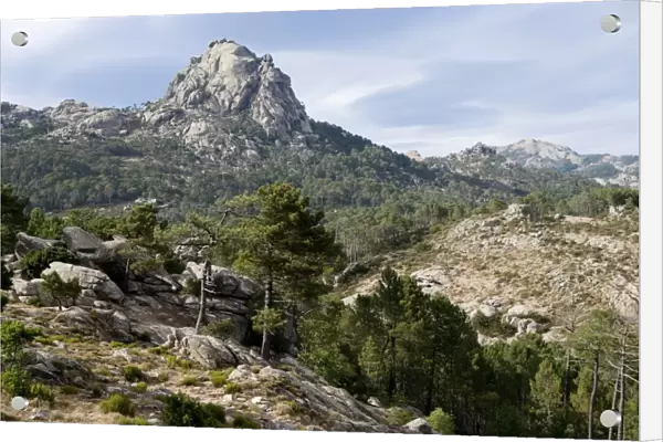 Ospedale Massif and Forest - Corsica