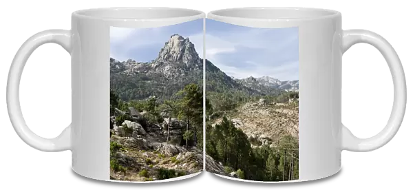 Ospedale Massif and Forest - Corsica