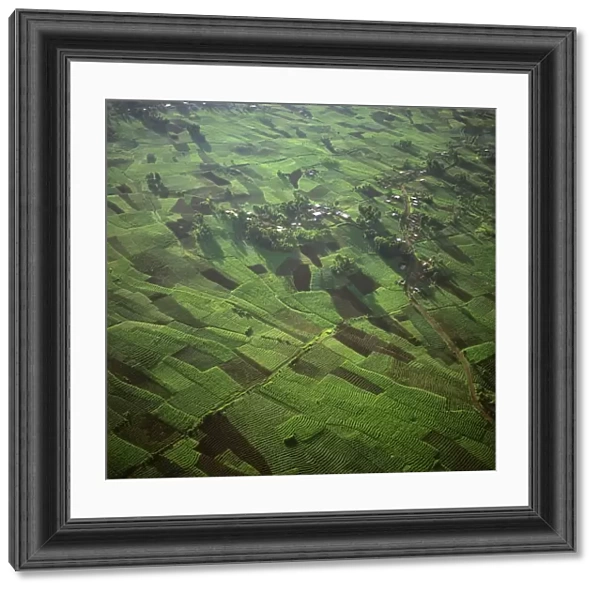 Rwanda - Aerial view of Africa, Intensive agriculture on Virunga foothills, 2003